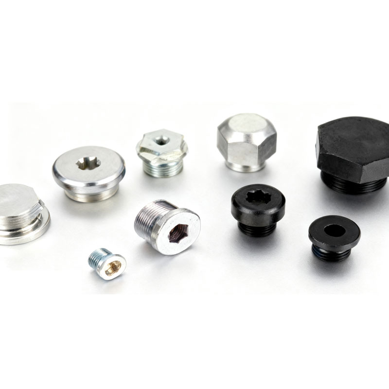 துருப்பிடிக்காத எஃகு Flange பிளக்